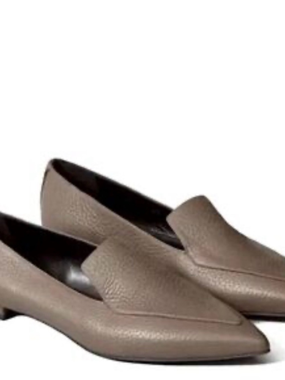 Everlane the Boss pointy toe pebbled leather